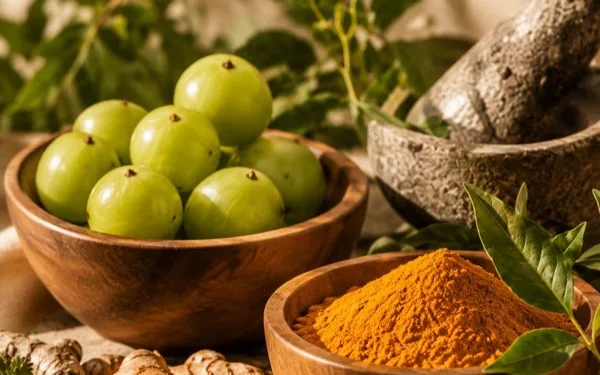 Cuencos de madera con amla y cúrcuma molida